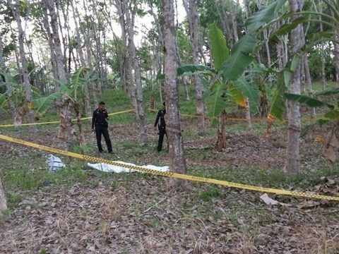 Body found in Phuket rubber plantation