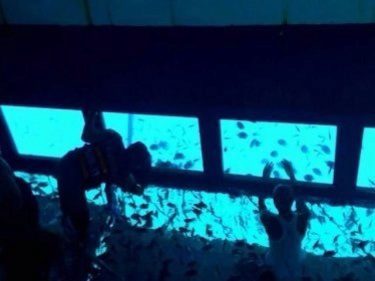 Aquarium at Sea off Phi Phi Brings 10,000 Baht Fine