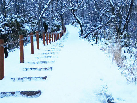 Being cold in Hokkaido