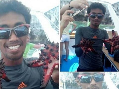 Krabi dive company to face charges for starfish ads