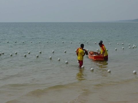 New coral reef found off Phuket