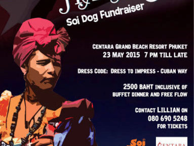 Cubana Havana Soi Dog Fundraiser