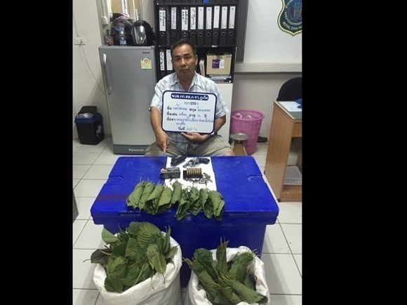 Phuket police arrest man with kratom, gun and ammunition