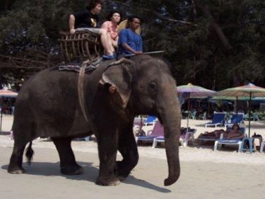 Why It's Wise to Ride an Elephant When You Visit Phuket