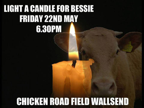 Mass vigil planned for Brit cow gunned down by police