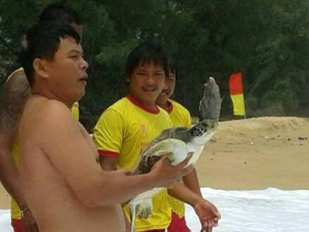 Phuket lifeguards rescue turtle from fishing net