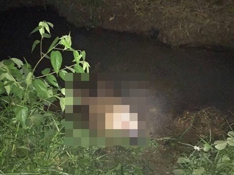 Wanted drug dealer shot dead by police in Krabi