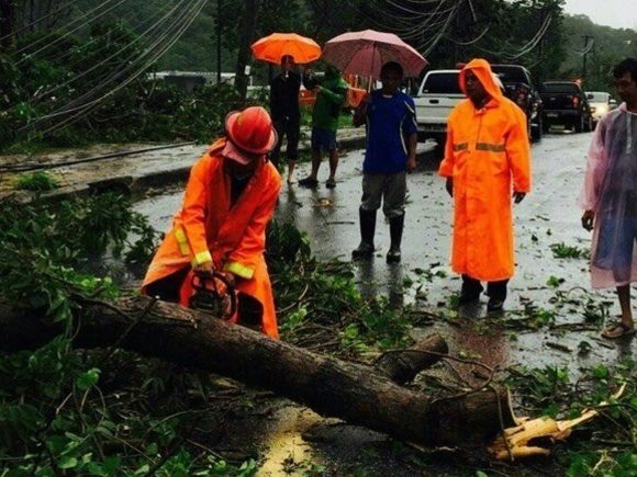 Phuket storm fells tree and electricity pylons